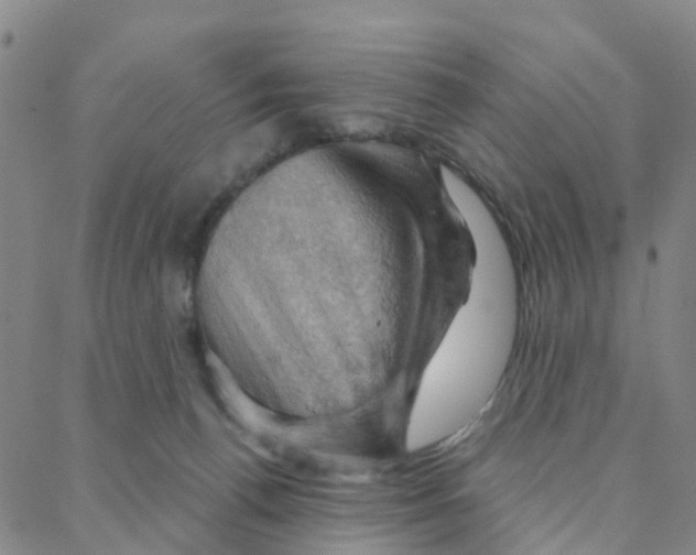 X0000088380176200706191317