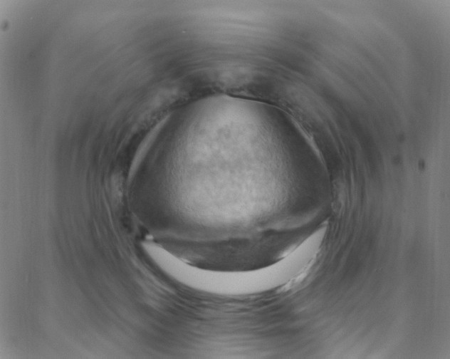 X0000088380184200706191317