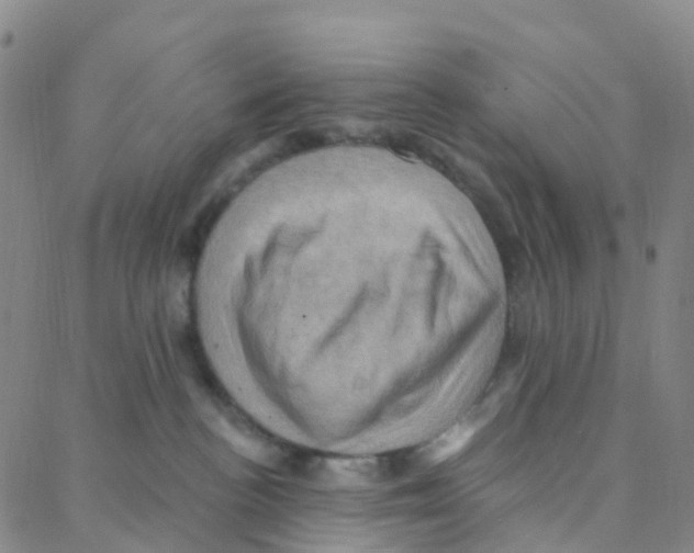 X0000088380188200706191317