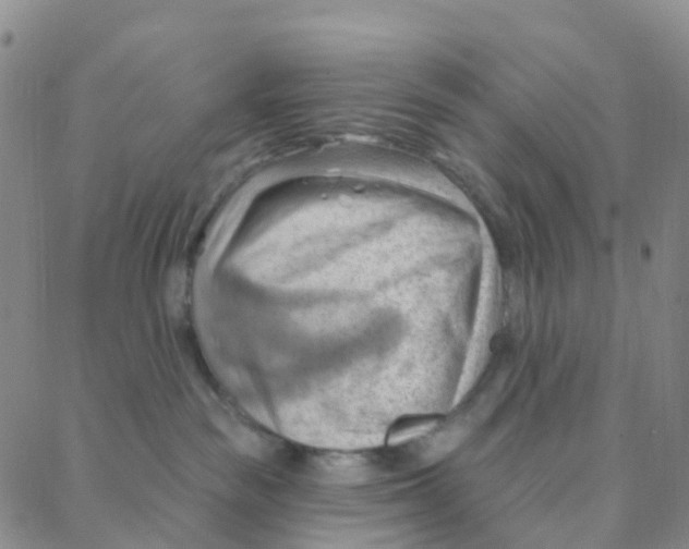 X0000088380189200706191317