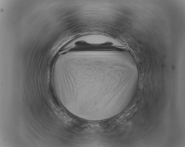 X0000088380194200706191316