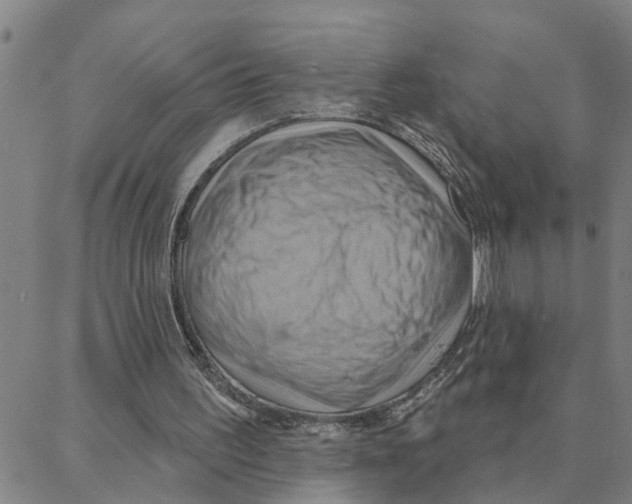X0000088380195200706191316