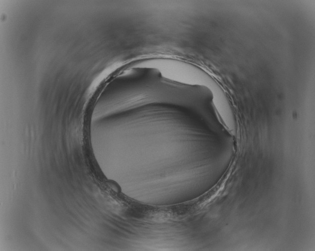 X0000088380200200706191316