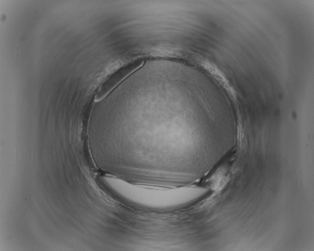 X0000088380201200706191316