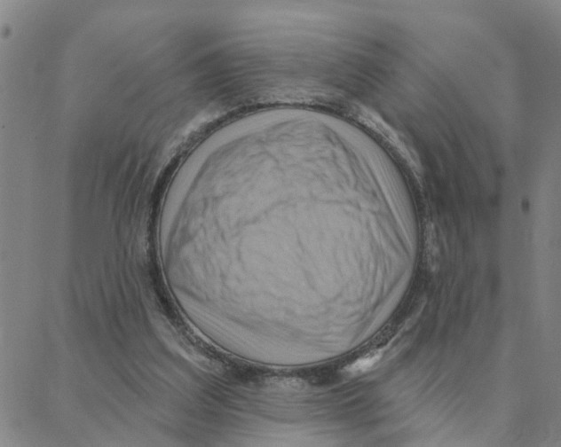 X0000088380203200706191316