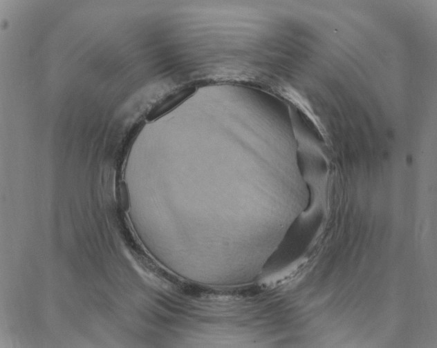 X0000088380205200706191316