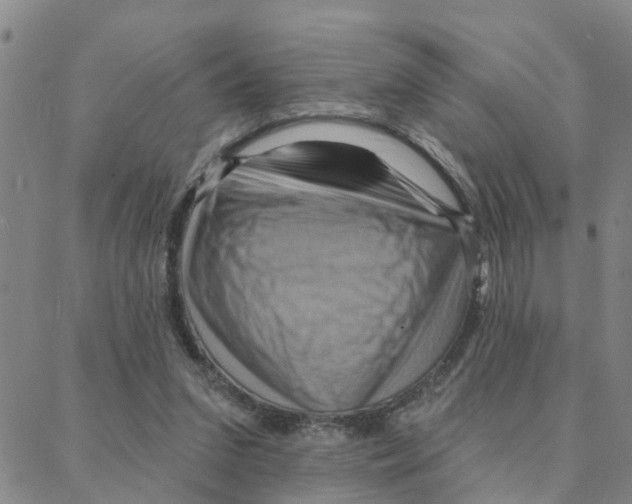 X0000088380207200706191316