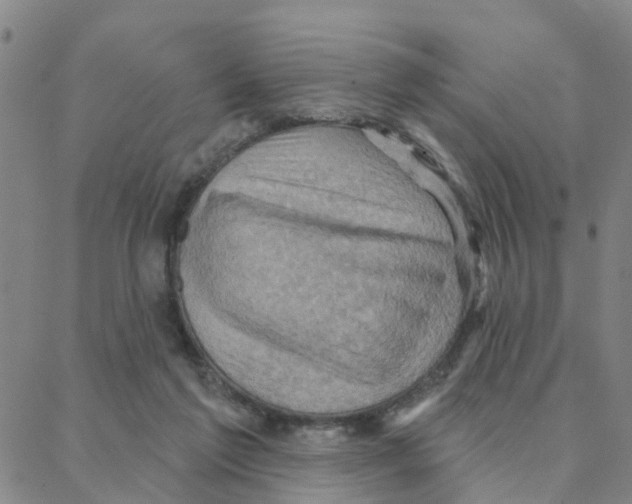 X0000088380213200706191316