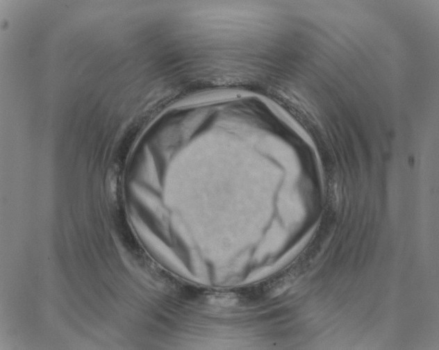 X0000088380214200706191316