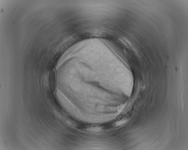 X0000088380217200706191316
