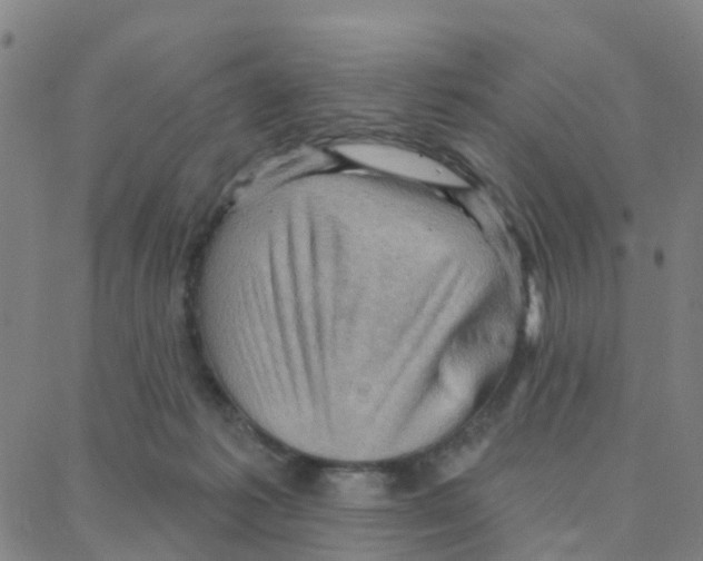 X0000088380221200706191316