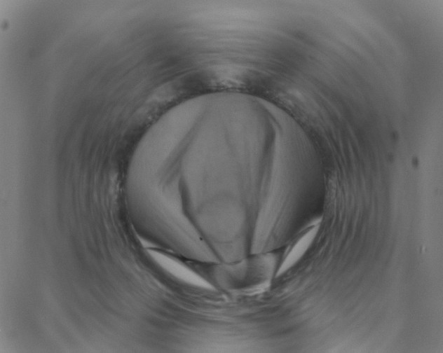 X0000088380223200706191316