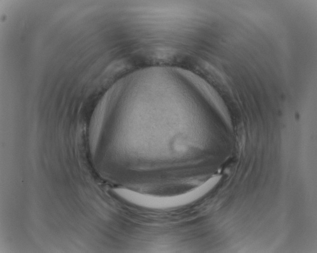 X0000088380225200706191316