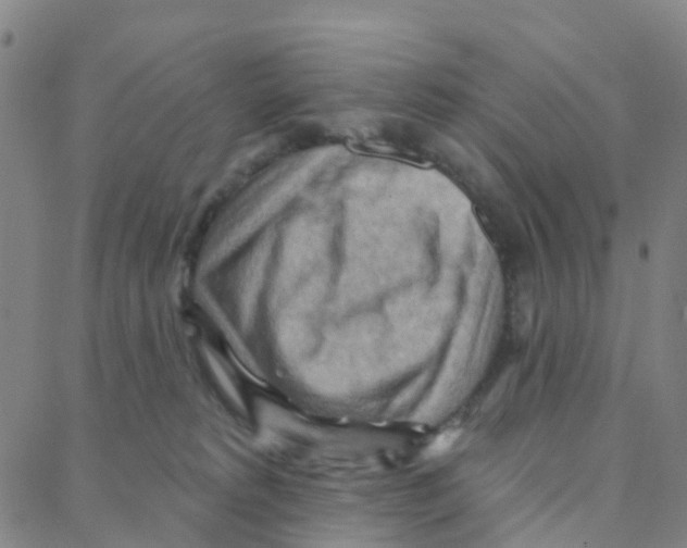 X0000088380229200706191316