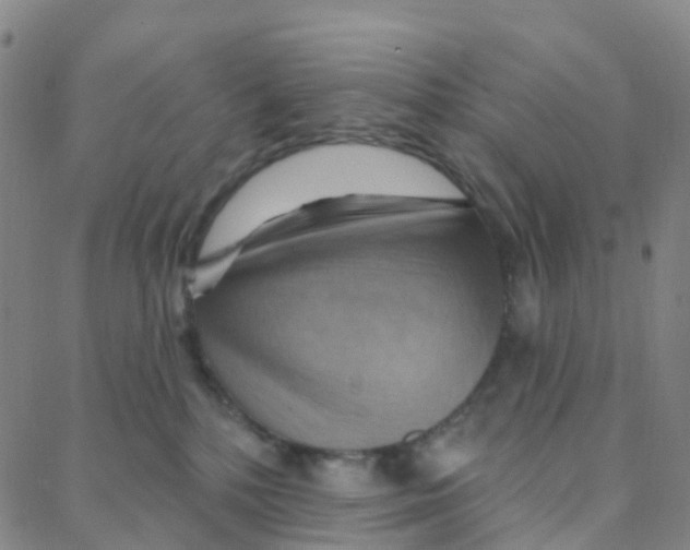 X0000088380232200706191316
