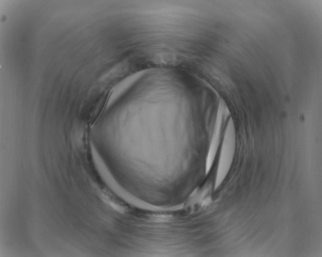 X0000088380233200706191316