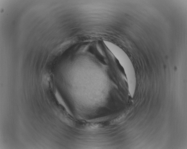 X0000088380235200706191316