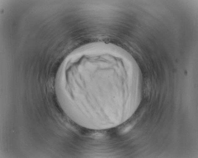 X0000088380236200706191316