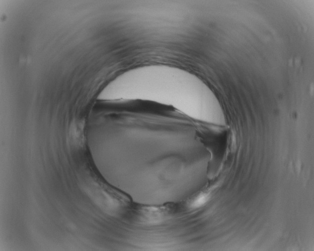 X0000088380239200706191315