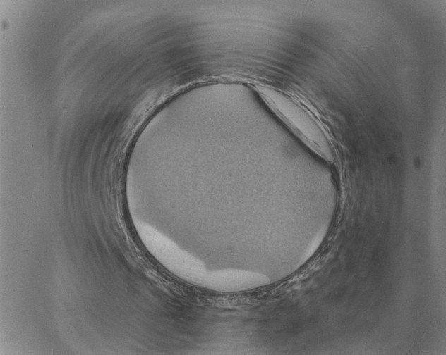 X0000088380241200706191315