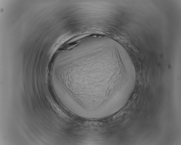 X0000088380242200706191315