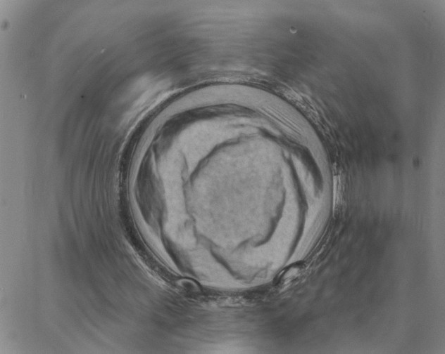 X0000088380243200706191315