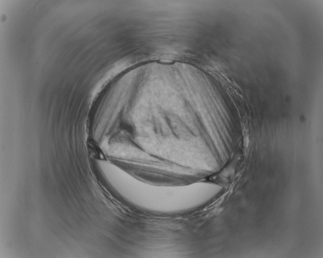 X0000088380244200706191315