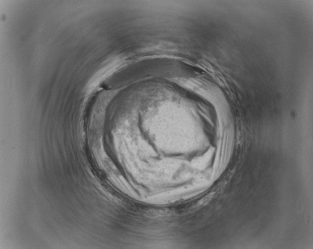X0000088380245200706191315