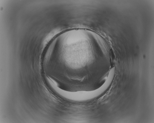 X0000088380248200706191315