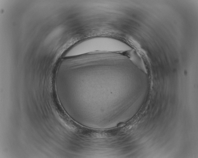X0000088380250200706191315
