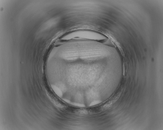 X0000088380253200706191315