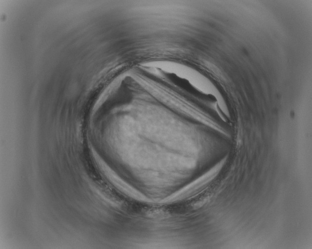 X0000088380258200706191315