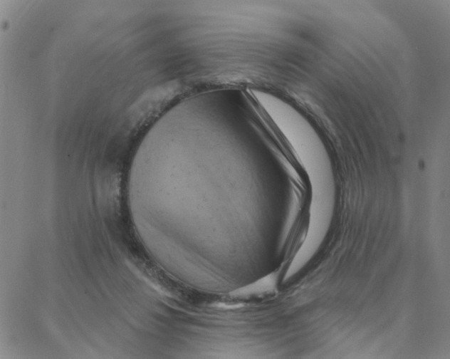X0000088380260200706191315