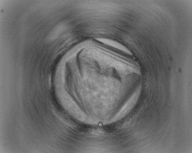 X0000088380262200706191315