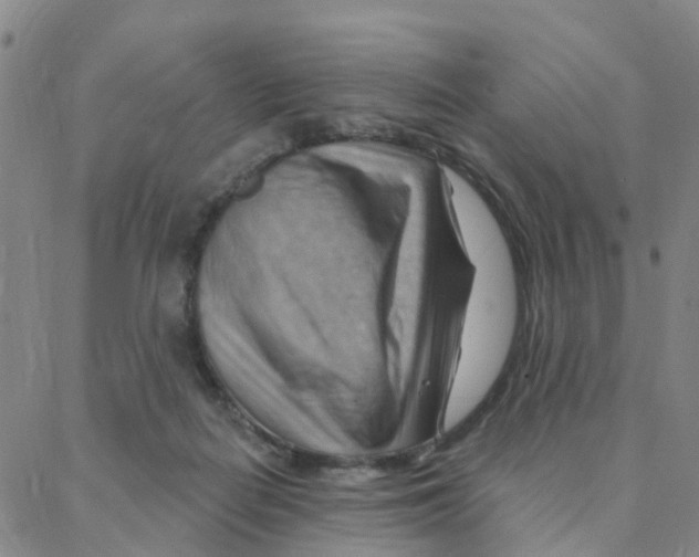 X0000088380266200706191315