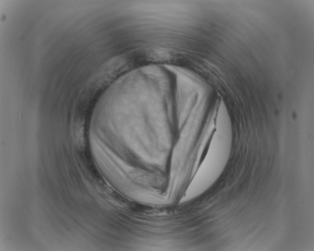 X0000088380267200706191315
