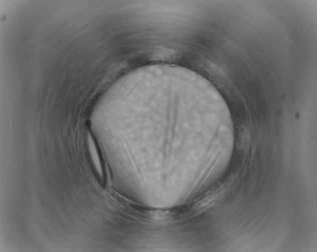 X0000088380273200706191315