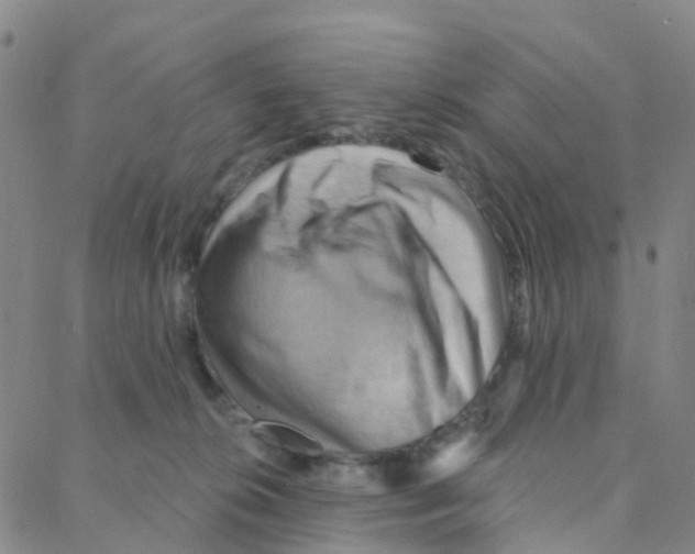 X0000088380276200706191315