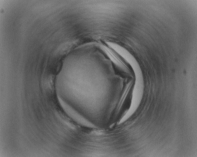 X0000088380280200706191315