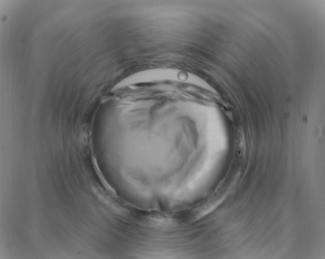 X0000088380284200706191315