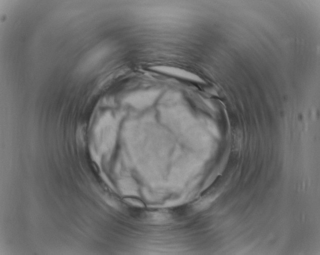 X0000088380286200706191315