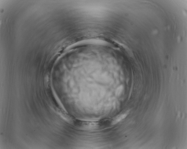 X0000088380288200706191315