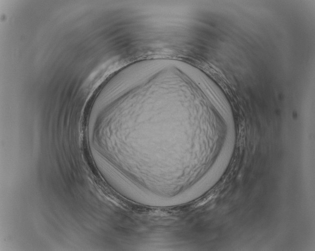 X0000088380290200706191315