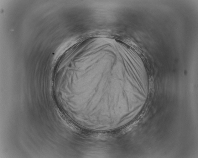 X0000088380293200706191315