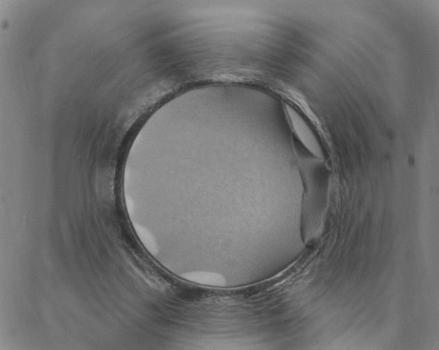 X0000088380299200706191314