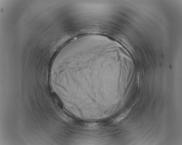 X0000088380301200706191314