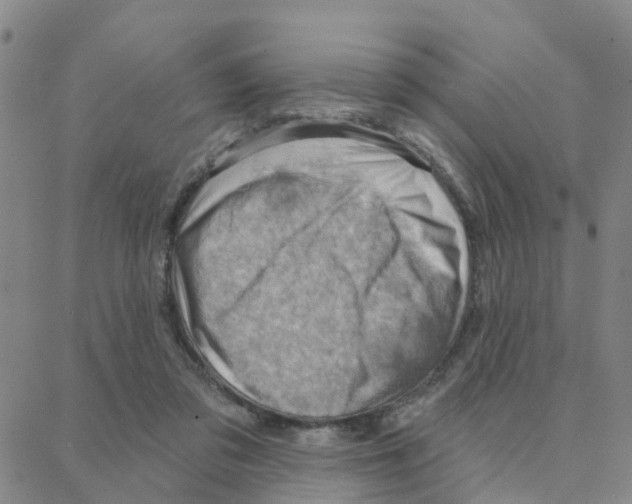 X0000088380309200706191314