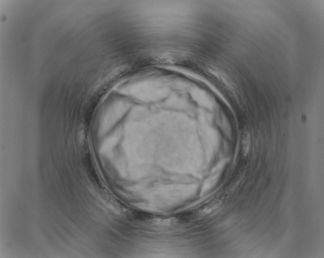 X0000088380314200706191314