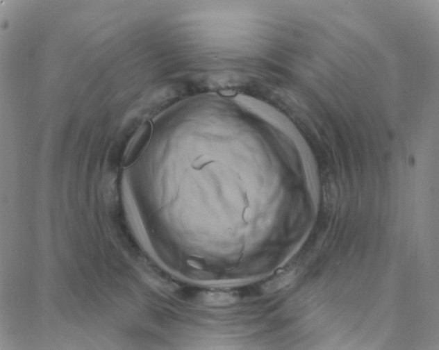 X0000088380327200706191314