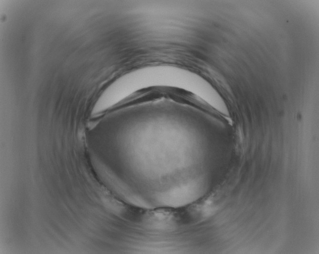 X0000088380329200706191314